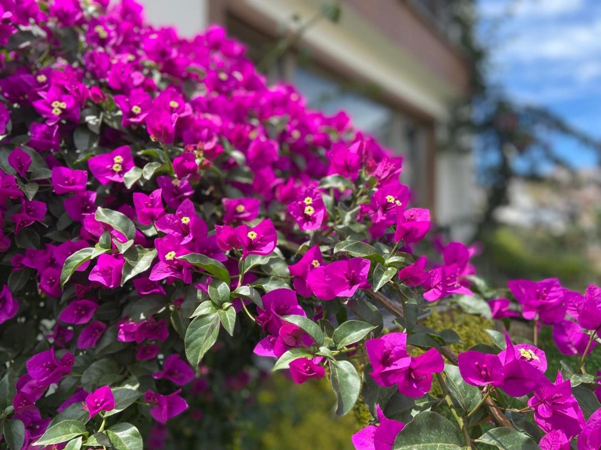 Yelken Pansiyon Sinop Ngoại thất bức ảnh