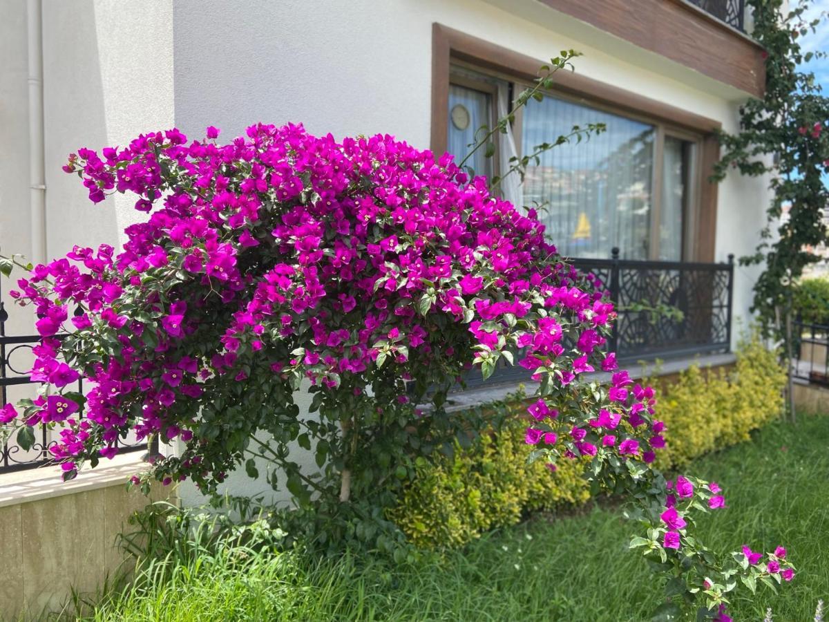 Yelken Pansiyon Sinop Ngoại thất bức ảnh
